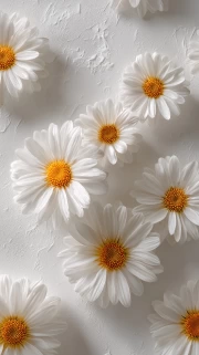 Snow-White Daisies: Freshness and Lightness in the Interior