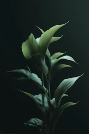 Garden Freshness: Green Foliage and Hydrangea Flowers for Interiors