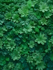 Green Daisies: Freshness and Harmony for the Interior