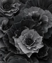 Black and White Anemones: Elegance and Style in the Interior
