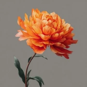 Exquisite Orange Flowers: Bright and Elegance