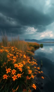 Orange Lilies Against a Dramatic Sky: Vivid Contrast of Flowers and Water