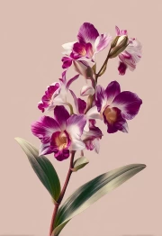 The Charm of Orchids: Flower Magic on Canvas