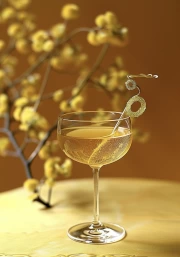 Elegant Cocktail: Taste and Style for the Interior