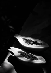 Exotic Papaya: Tropical Explosion of Flowers for Interior