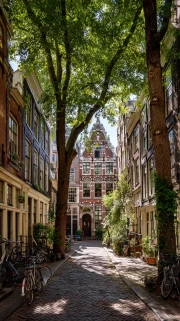 The Charm of Amsterdam's Streets: The Spirit of the Netherlands
