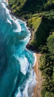 Emerald Shores of Honolulu: Landscape of Freedom and Harmony