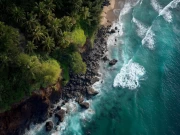 Harmony of Waves and Greenery: Honolulu in Tropical Paradise