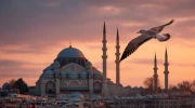 Istanbul Sunset Lights: Skylines and Silhouettes
