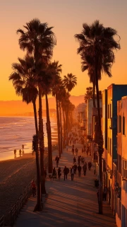 Los Angeles Sunset Lights: Palm Tree Silhouettes and Cityscapes