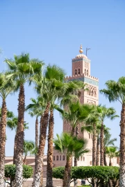 Marrakech Skyline: Palm Trees and City Silhouettes