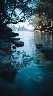 Sydney Harmony: Nature and Urban Chic