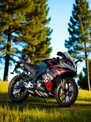 Aprilia RS 125: Freedom and Speed in the Sunny Forest Surface