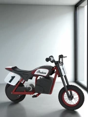 Bold and Speed: Indian eFTR Mini in Minimalist Style