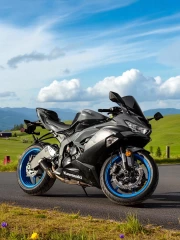 Kawasaki Ninja ZX 6R ABS KRT: Power on Asphalt and Idyll of Country Road