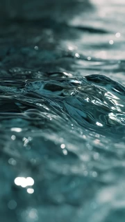 Tranquil Waters: Natural Landscapes for Inspiration