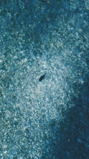 Light and Water: Harmony of Natural Landscape