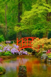 Spring Garden with Red Bridge: Awakening of Nature