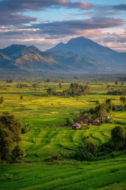 Green Symphony of Mountains and Valleys: Nature in Your Home