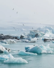 Ice Symphony: Icebergs and Glaciers in Nature's Landscape