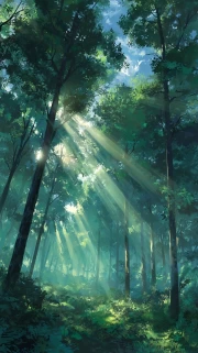 Sun Rays in Green Foliage: Natural Forest Scenery