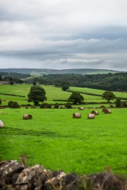 Serene Spaces: Rural Fields Landscape