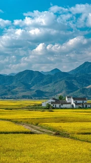 Golden Fields and Mountain Range: Natural Landscapes and Rural Spaces