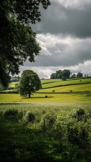 Romance of Countryside Fields: The Tranquility of Nature