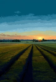 Sunset Tranquility: Fields and Countryside Spaces