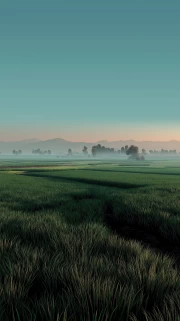 Peaceful Countryside Fields: Natural Landscapes and Plains