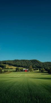 Sunbeams over Endless Fields: Village Silence