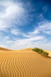 Velvet Dunes Under the Endless Sky: An Oasis of Tranquility in the Desert Landscape