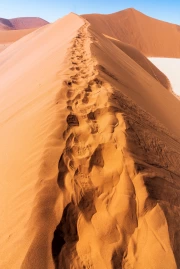 Sand Dune Trails: Nature Scenery and Desert Landscapes