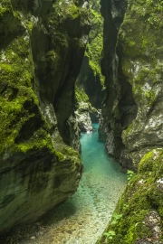 Emerald Cave: Secrets of Nature among the Rock Giants