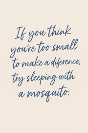 Little Mosquito: Funny Inspirational Quote About Influence