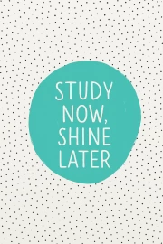 Learn Now, Shine Later: Inspiration and Motivation for Success