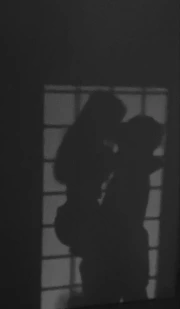 Shadow Dance: Sensual Silhouette