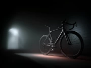 Elegant Bicycle Dynamics: The Art of Transportation