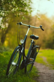 Vintage Bike in the Wilderness: A Journey into Nature
