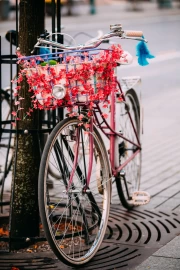 Spring Vintage: Floral Bicycle
