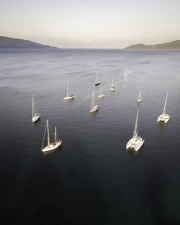 Freedom on Sail: Elegant Yachts on the Smooth Sea