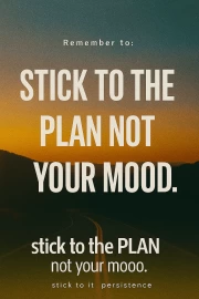 Follow the Plan: The Power of Perseverance