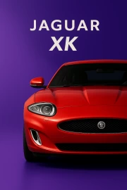Elegant Jaguar XK: Dynamics and Style