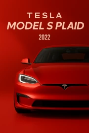 Tesla Model S Plaid: Dynamics and Style in the Interior