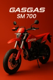 Speed and Power: GasGas SM 700