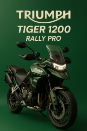 Triumph Tiger 1200 Rally Pro: Travel Energy