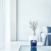 Elegant Minimalism: The Tranquility of a Modern Interior