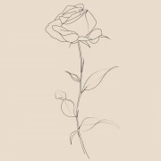 Graceful Rose Line: Minimalism in Interior