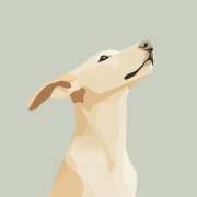 Beige Dog: Minimalism and Calm