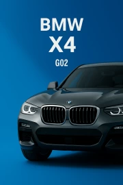 Speed and Style: BMW X4 G02